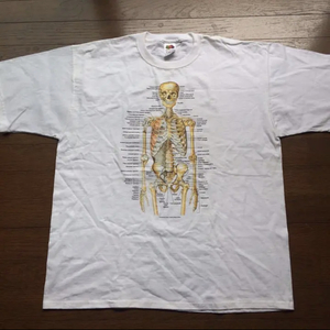 カートコバーン 愛用 Anatomical Chart Vintage 骨格図 Tシャツ スカル nirvana kurt cobain ニルヴァーナ 解剖図 エロ グロ sonic youth 