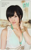 テレホンカード アイドル テレカ 山本彩 月刊エンタメ A0152-1108