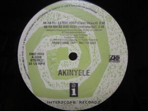 美盤/AKINYELE - AK HA HA! AK HOO HOO?/DEAR DIARY/PRO. LARGE PROFESSOR