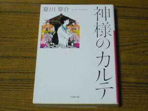 ●夏川秋介 「神様のカルテ」　(小学館文庫)