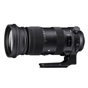 中古 １年保証 美品 SIGMA Sports 60-600mm F4.5-6.3 DG OS HSM ニコンF