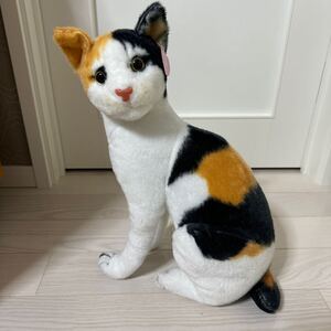 【新品】　★ This is so cute 猫BIGぬいぐるみ　　三毛猫　42㎝　★