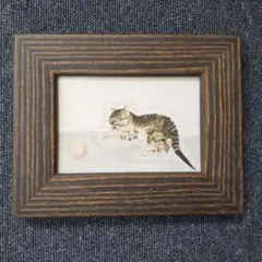 藤田嗣治 猫ポストカード レオナールフジタ 猫の絵 猫雑貨  美術館グッズ