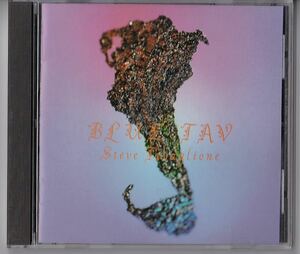 スティーヴ・タヴァローニ 「ブルー・タブ」 アラン・ホールズワース参加 Steve Tavaglione / Blue Tav Allan Holdsworth alan