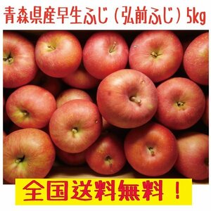 青森県産　家庭用　早生ふじ（弘前ふじ）　14-25玉5kg　送料無料！