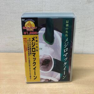 Y1031B 最強の名馬 メジロマックイーン DVD 関西テレビ ポニーキャニオン 競馬 