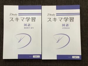 Z会　スキマ学習　国語（漢字、語句、文法）2冊セット　夏休みの学習に！