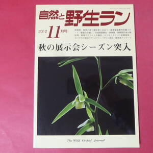 YN3-250109☆自然と野生ラン ◆ 2012年11月号　富貴蘭　セッコク