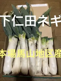 下仁田ネギ3