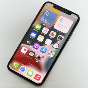 Apple SIMフリー iPhone X スペースグレイ 64GB MQAX2J/A iOS15.3.1 アクティベーションロック解除済