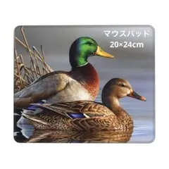 Mallard Duck マウスパッド ノンスリップベース 防水 オフィス