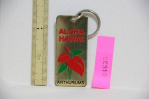 ALOHA HAWAII キーホルダー ANTHURIUMS 1980 検索 ハワイ アンスリウム 観光 お土産 グッズ