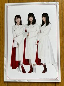 櫻坂46 大園玲 増本綺良 大沼晶保 生写真 