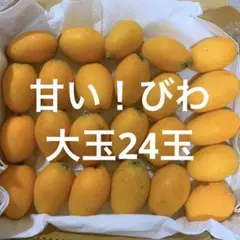 甘い！　大玉びわ　約24玉