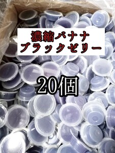 昆虫ゼリー フジコン 濃縮バナナブラックワイド16g 20個 クワガタ カブトムシ オオクワガタ フクロモモンガ ハムスター ハリネズミ 小動物