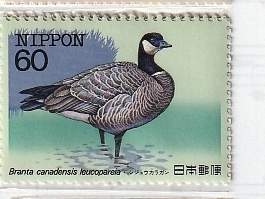 ≪未使用記念切手≫ 特殊鳥類シリーズ 第2集 シジュウカラガン