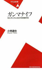 ガンマナイフ(平凡社新書)/小林達也■17016-YSin