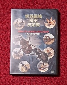 DVD 世界最強虫王決定戦 国産カブトVSオオエンマハンミョウ 