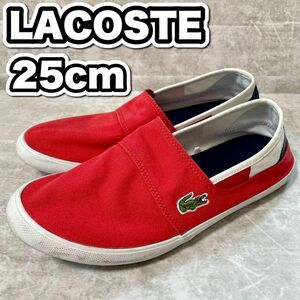 早い者勝ちLACOSTE スリッポン/25センチ