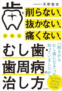 歯を削らない、抜かない、だから痛くない、むし歯・歯周病の治し方