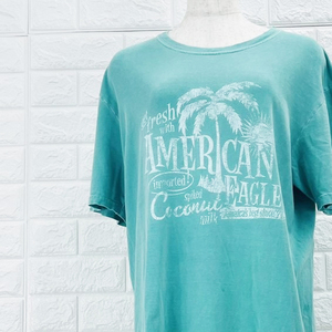 【A2437】American Eagle Outfitters アメリカンイーグルアウトフィッターズ メンズ Tシャツ 半袖 ヴィンテージ風 プリント入り 緑 Mサイズ