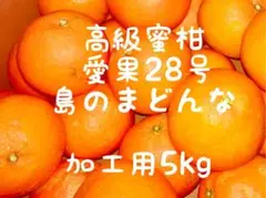 高級蜜柑 愛果28号 島のまどんな　加工用5kg