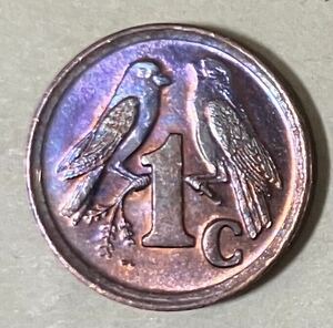南アフリカ　1セント　1995年　外国コイン　アンティーク　古銭　外国銭　南アフリカコイン