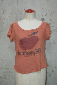 インパクティスケリー　Inpaichthys kerri　半袖　Ｔシャツ D1044