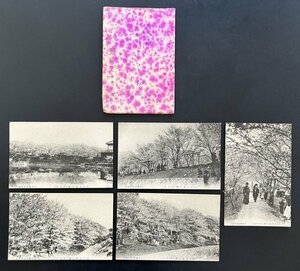 戦前 絵葉書 5枚「飛鳥川畔 八木公園のさくら」奈良県 風景 景色 郷土資料 資料