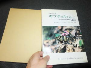 貴重書！生態写真集！ギフチョウを追って！　　　　　　検高山植物日本アルプスの蝶標本ヒメギフチョウ大雪の蝶田淵行男カラフトルリシジミ