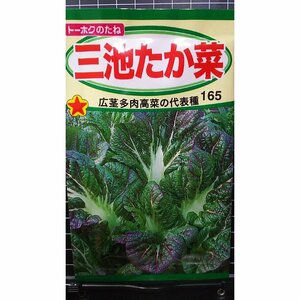 ３袋セット 三池 たか菜 たかな 高菜 種 郵便は送料無料