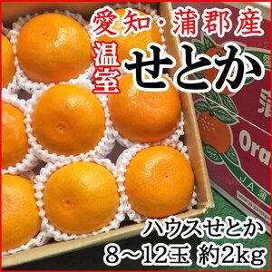 【Good】大量10箱出品中！愛知 蒲郡産『ハウスせとか』 JA蒲郡産 8～12玉 約2kg ご予約