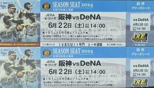 6月22日(土)阪神タイガースVS DeNA 甲子園球場チケット　ブリーズシート通路側連番2枚セット