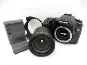 【Canon/キヤノン】巳④81//CANON EOS40D SIGMA DC 17-70mm 1:2.8-4.5
