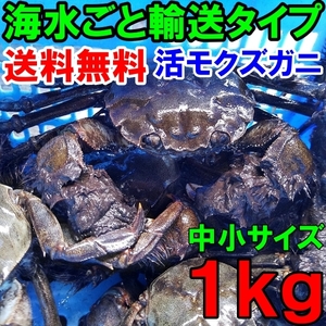 活モクズガニ小中サイズ1kg(目安 10-20杯) ツガニつがに 配送地域限定品(四国中国九州沖縄は不可能です) 他に大サイズも出品中 もくずがに