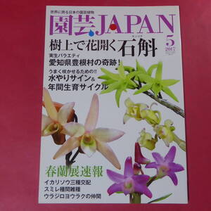 YN4-241219☆園芸JAPAN 2017年5月号　セッコク 春蘭 イカリソウ スミレ ウラジロヨウラク ※ 自然と野生ラン