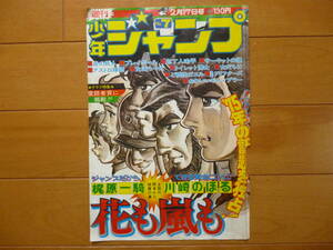 ジャンク／週刊少年ジャンプ　1975年7号　表紙のみ　1枚／花も嵐も　梶原一騎　川崎のぼる