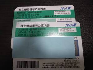 全日空 株主優待券 2枚セット 国内 航空券 搭乗期限2025年11月末まで　普通郵便送料無料