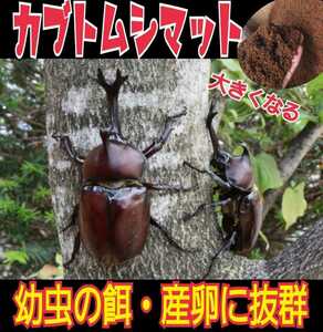 【改良版】ヒマラヤひらたけ発酵マット☆カブトムシ幼虫の餌、産卵マットに！栄養価抜群なのでビッグサイズ狙えます！クヌギ１００％　20L