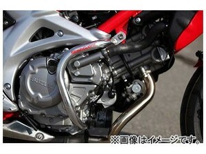 ゴールドメダル スラッシュガード バフ仕上げ サブフレーム無し SGS17-1 スズキ GLADIUS650/400 EBL-VK58A 2輪