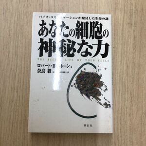 TWC240719-6 バイオ・コミュニケーションが発見した生命の謎 あなたの細胞の 神秘な力 ロバート・B・ストーン 奈良毅 祥伝社