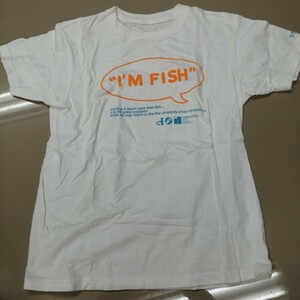 D05 バンドTシャツ　フィッシュマンズ　白　FISHMANS im fish