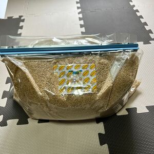 令和4年産　玄米10kg 備蓄米　