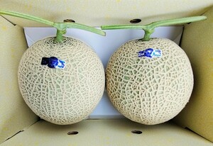 ☆高知産☆４，５Kg☆秀品☆　マスクメロン　２玉入り☆　　