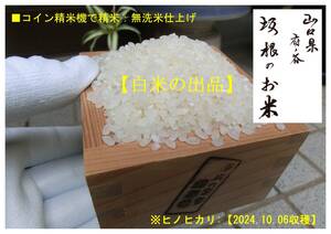 令和6年10月収穫米(2024年)/国産:5kg無洗米/クリーン白米仕上げ米袋詰め №250108(送料込み)白米ヒノヒカリ※ゆうパック発送(段ボール箱)