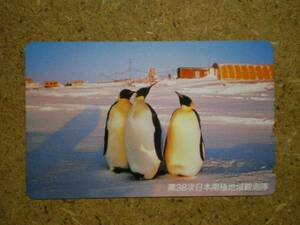 doub・ペンギン 第38次日本南極地域観測隊 テレカ