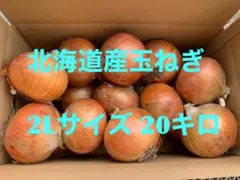 北海道産玉ねぎ 2Lサイズ 20キロ