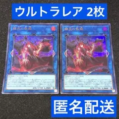 遊戯王 賜炎の咎姫 ウルトラ 2枚