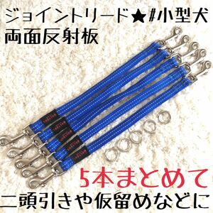 ★同梱お得★ジョイントリード・まとめて5本★小型犬・ウォルターシリーズ♪業販・卸・フリマ・大量販売★ブルー