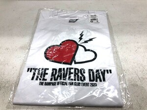 THE RAMPAGE THE RAVERS DAY Tシャツ XLサイズ 【G0895-007】145